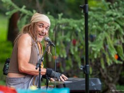 Die Bremer Stadtmusikanten